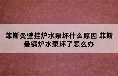 菲斯曼壁挂炉水泵坏什么原因 菲斯曼锅炉水泵坏了怎么办